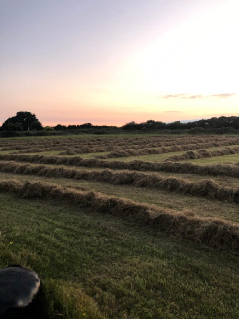 Binfield Bales Levers piece farm Ryehurst lane Binfield Berkshire RG42 5QZ T: 07980 680877 E: bales@binfieldbales.co.uk
